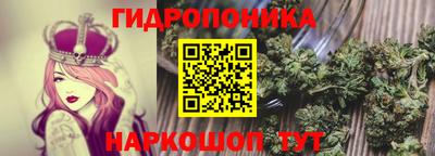 молекула духа Апрелевка