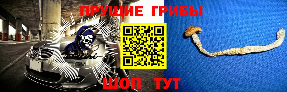 Галлюциногенные грибы Psilocybine cubensis  Вход с VPN  Великий Устюг 