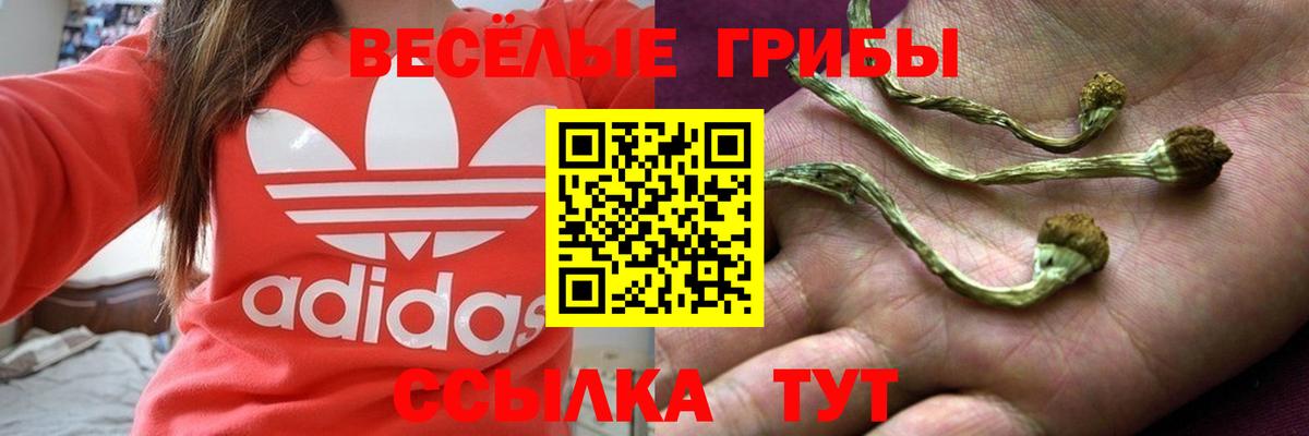 Псилоцибиновые грибы Magic Shrooms Великий Устюг
